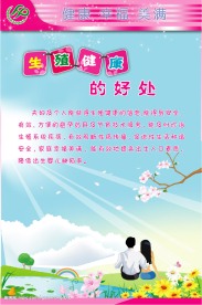 计生展板 制度