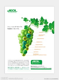 日本公司 企业 形象宣传创意 单页 葡萄创意 电子公司