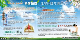 肝病医院科普知识展板 科学预防让您肝脏充满活力