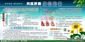 肝病医院科普知识展板 共抗肝病你我同行