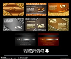 VIP卡 会员卡 贵宾卡 金卡