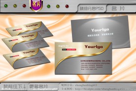名片设计 个性名片