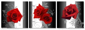 无框画 玫瑰
