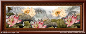 荷花