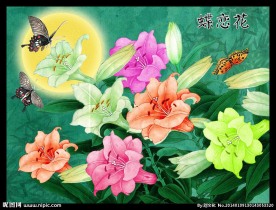 百合花