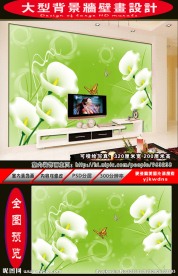 马蹄莲电视沙发背景墙壁画