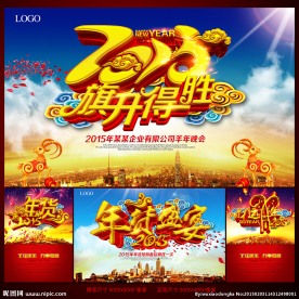 2015年会