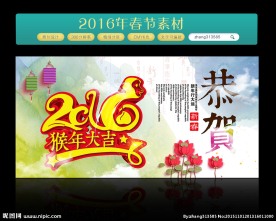 2016 猴年