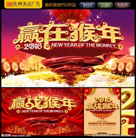 2016 年会