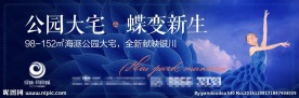 洋房  开盘 广告