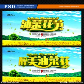 油菜花