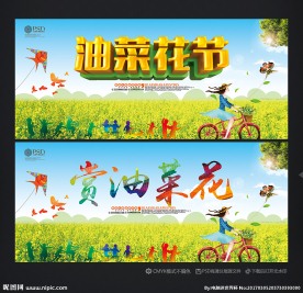 油菜花