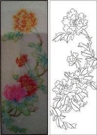 牡丹花