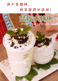 盆栽冰淇淋图片