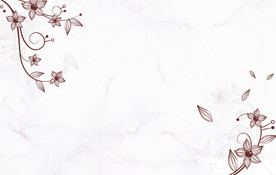 花边花纹 源分层