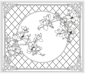 玉兰花