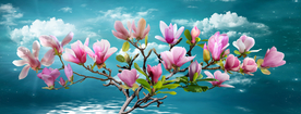 玉兰花风景无框画装饰画背景墙