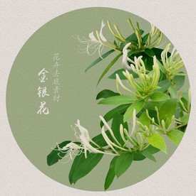 金银花