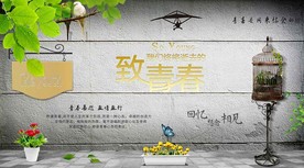 致青春背景墙