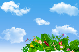 蓝天白云