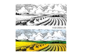 矢量田野一