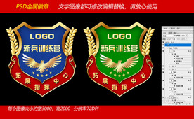 盾形金属徽章