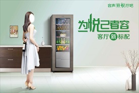 容声冷柜客厅柜（厅吧）年度视觉