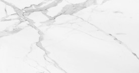 豪华新大气鱼肚白 tif合层