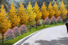 道路绿化景观设计效果图