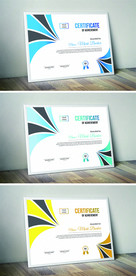 创意时尚证书
