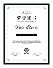 荣誉证书时尚竖版证书