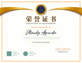 荣誉证书时尚横版证书