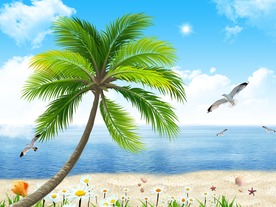 蓝天白云大海沙滩唯美海边风景