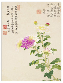 国画 国画山水图 国画山水画