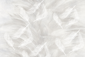 羽毛花纹背景图