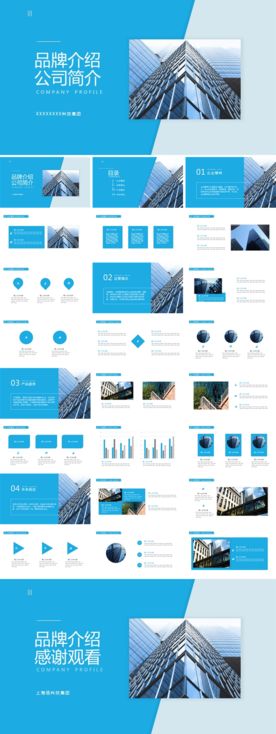 公司介绍