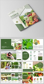 果蔬画册