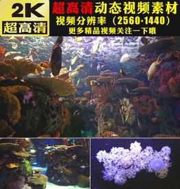 梦幻海底世界动态视频素材