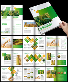 绿色水稻农产品生态农业环保画册