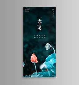 大暑 小暑 立夏 夏至 地产图