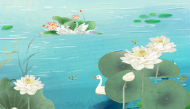 荷花韵电视背景墙