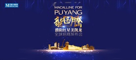 龙图腾地产海报