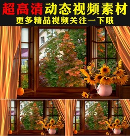 窗外唯美金秋枫树林枫叶秋天视频