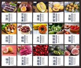 水果简介  水果介绍 水果展板