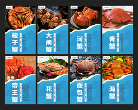 螃蟹 大闸蟹 蟹类