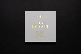 高端LOGO墙样机样机