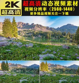 高山森林树木小草蓝天白云视频