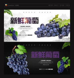 葡萄 葡萄海报