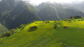 高原草地 大山 山脉