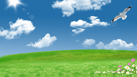 蓝天白云草原